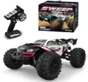 SCY 16101 PRO RC Car